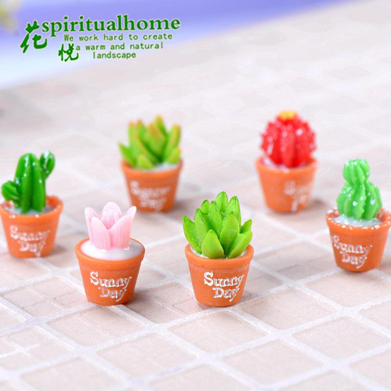 Phụ Kiện Tiểu Cảnh Tiểu cảnh đa dạng cây mọng nước, trang trí cây cảnh DIY (ZC-445)