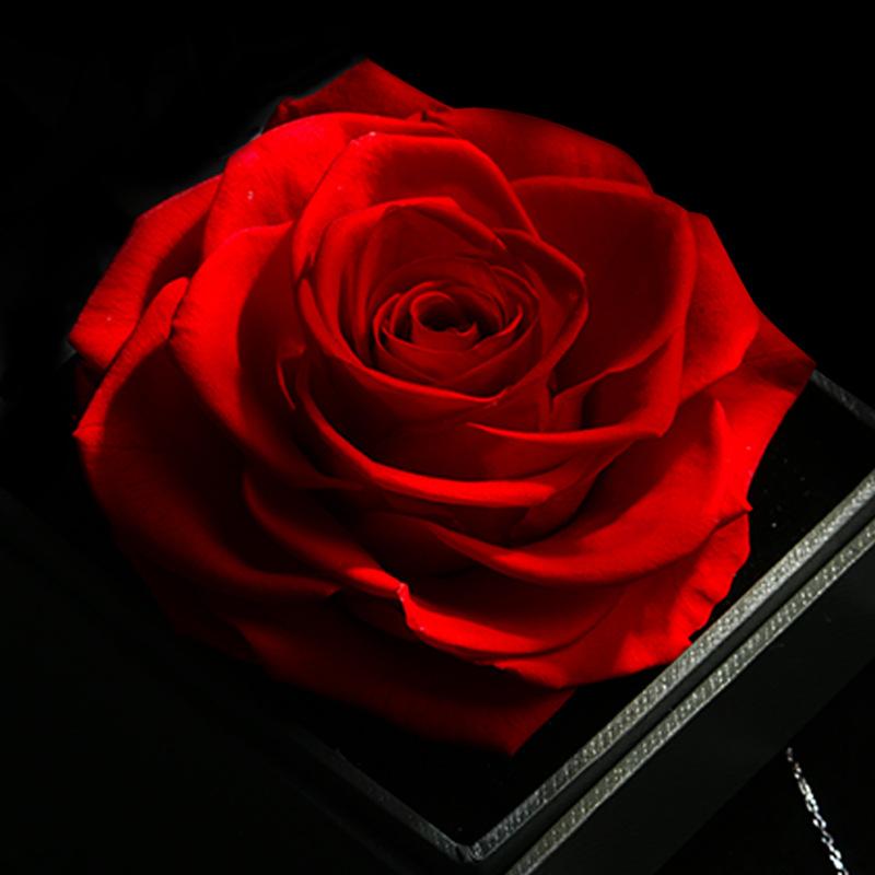 Hoa khô trang trí FY-125