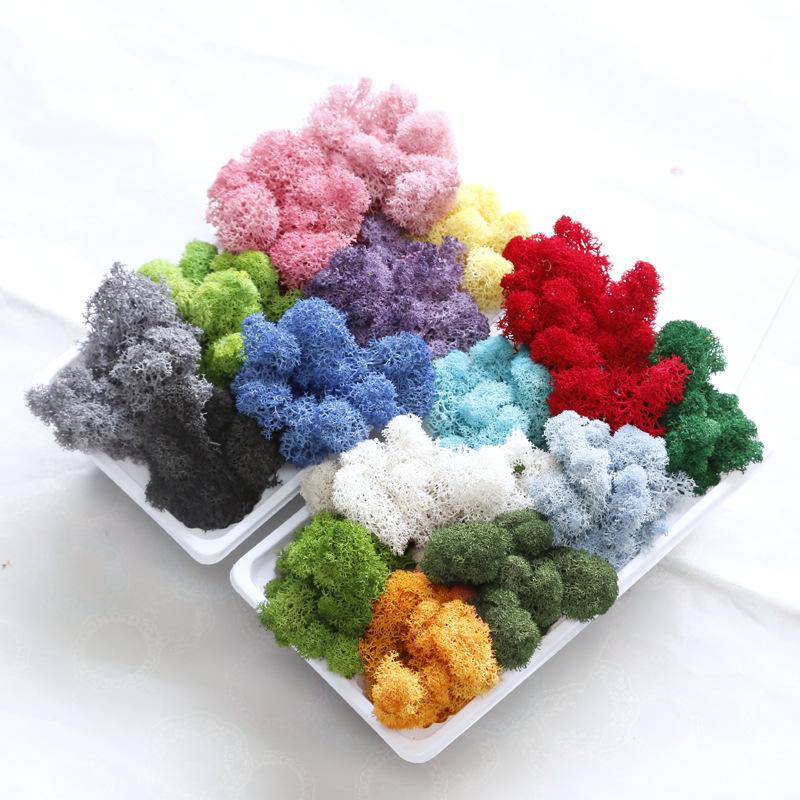 Hoa khô trang trí FY-13