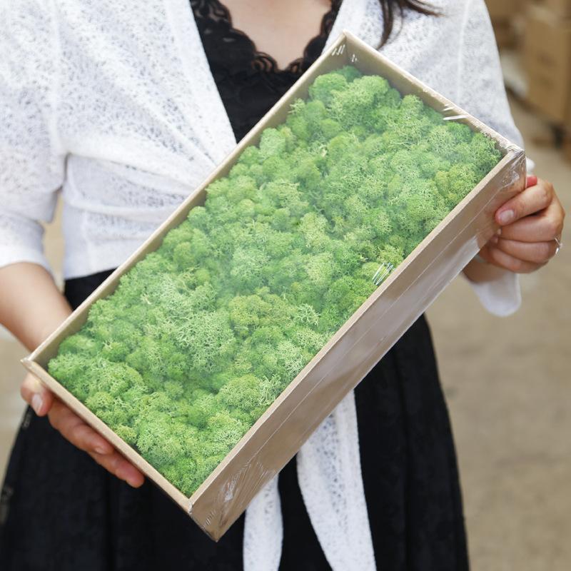 Hoa khô trang trí FY-13