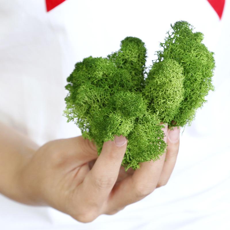 Hoa khô trang trí FY-13