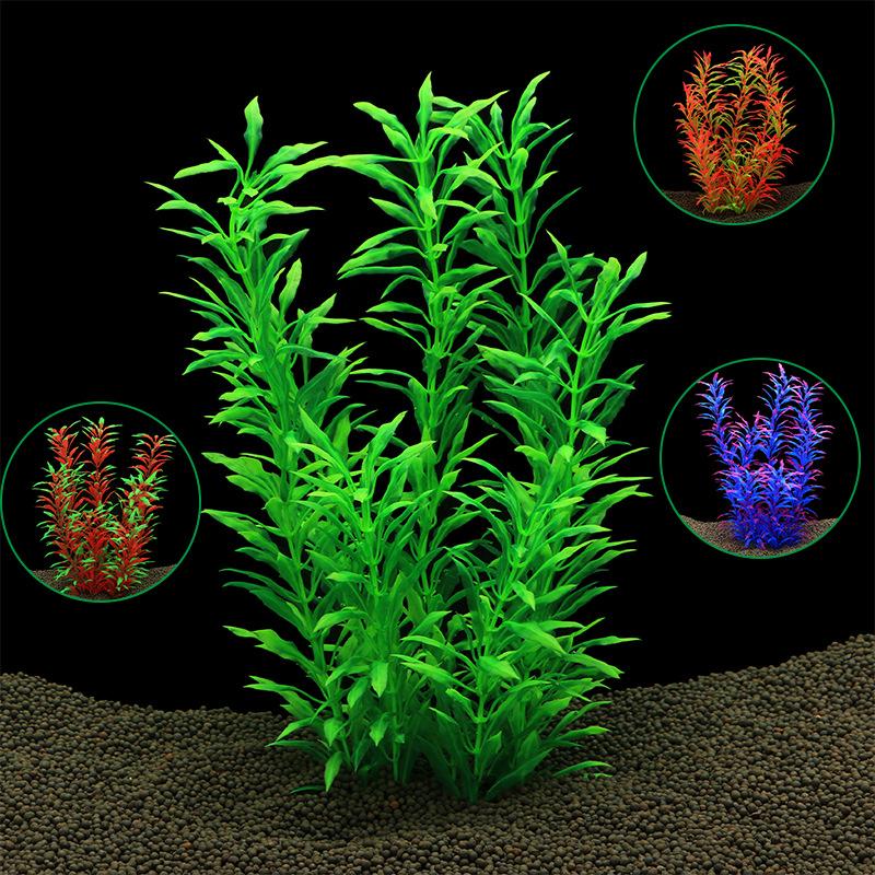Thực vật thuỷ sinh trang trí bể cá (YR-52)