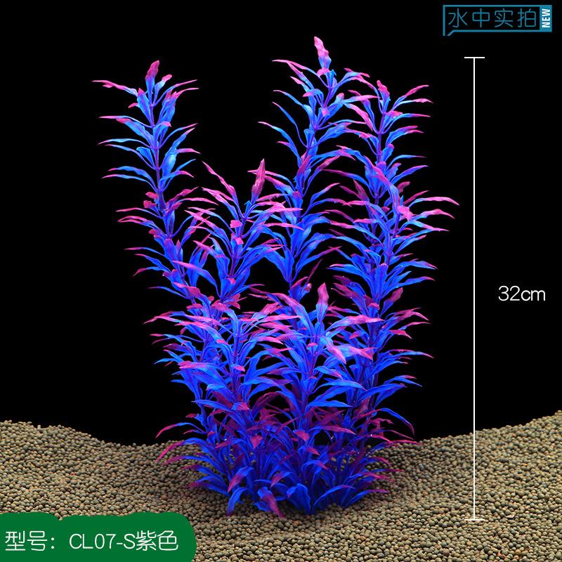 Thực vật thuỷ sinh trang trí bể cá (YR-52)