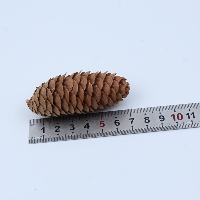 Trang Trí Noel Móc treo quả thông tự nhiên 7–12cm, trang trí cây thông Noel, phụ kiện decor lễ hội ấm áp mùa đông