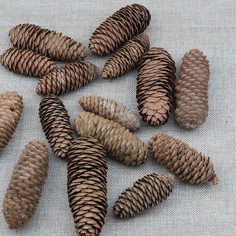 Trang Trí Noel Móc treo quả thông tự nhiên 7–12cm, trang trí cây thông Noel, phụ kiện decor lễ hội ấm áp mùa đông