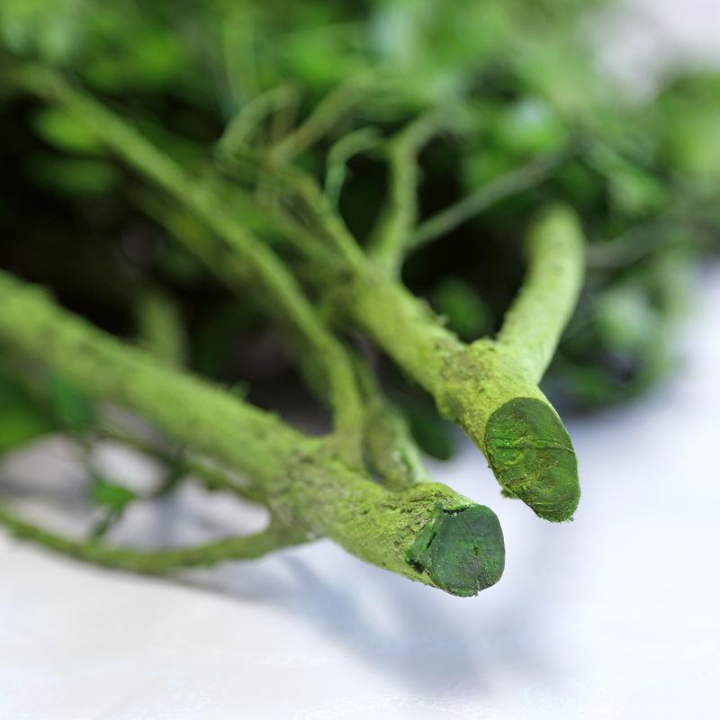 Hoa khô trang trí FY-90