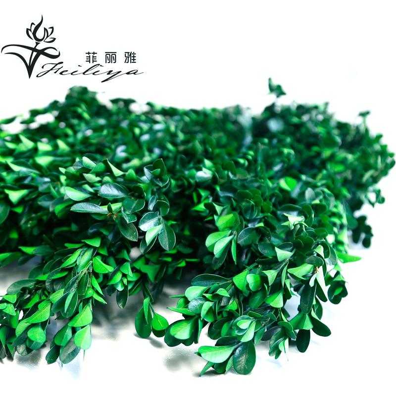 Hoa khô trang trí FY-90