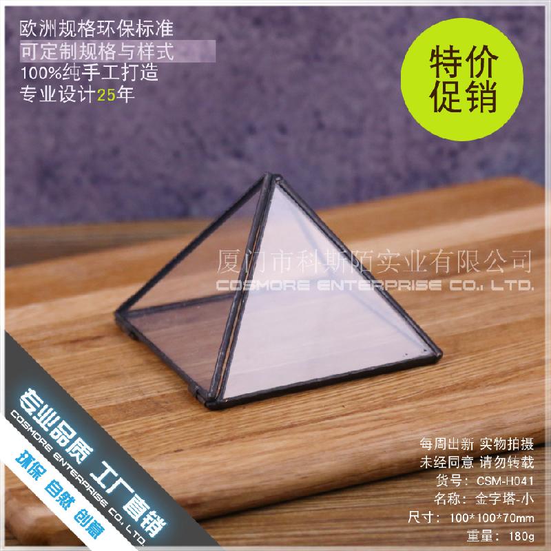 Chậu Đa Giác DG-244 Hoa thụ động với thủy tinh lớn, hình tháp nhỏ, cây thực vật đa nhân