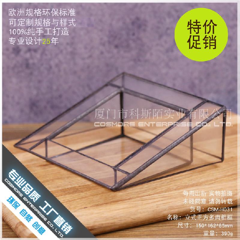 Chậu Đa Giác DG-42 Khung ảnh đa cây thực vật tảo, cảnh quan nhỏ bằng kính không đều, hoa bền vững trong hộp