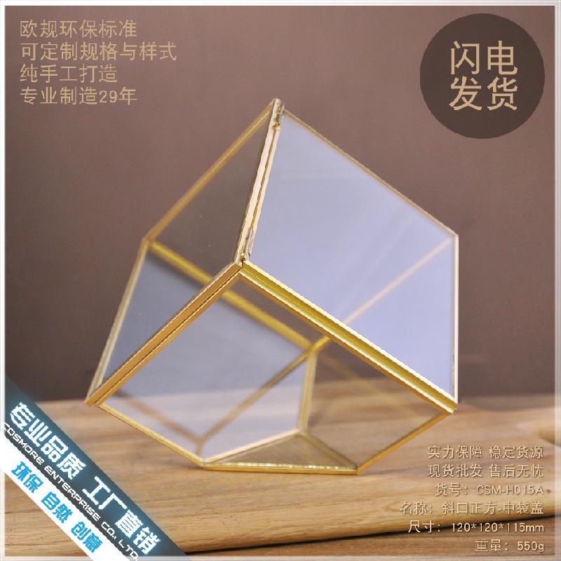 Chậu Đa Giác DG-53 Hộp kính thủy tinh có nắp với cây thực vật mọc mịn, thảo mộc vật phẩm nhỏ, hoa bền vững nhỏ