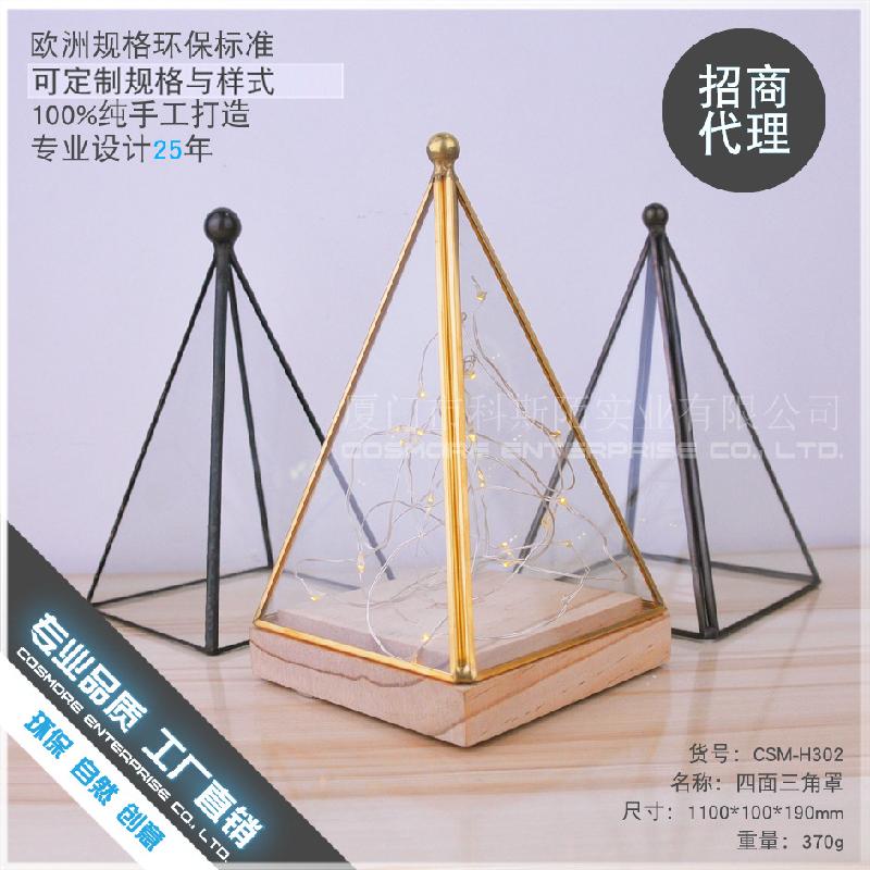 Chậu Đa Giác DG-152 Cây lửa, hoa bạc, cây gỗ, đế đèn kính LED