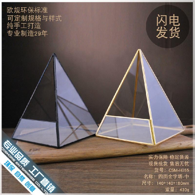 Chậu Đa Giác DG-63 Hoa vật cảnh nhỏ, cây cỏ đầy đủ, hộp kính với hình bốn mặt ngôi sao