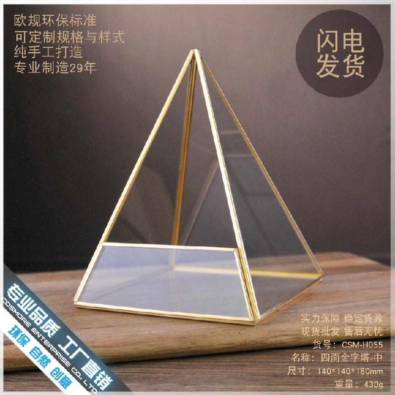 Chậu Đa Giác DG-63 Hoa vật cảnh nhỏ, cây cỏ đầy đủ, hộp kính với hình bốn mặt ngôi sao