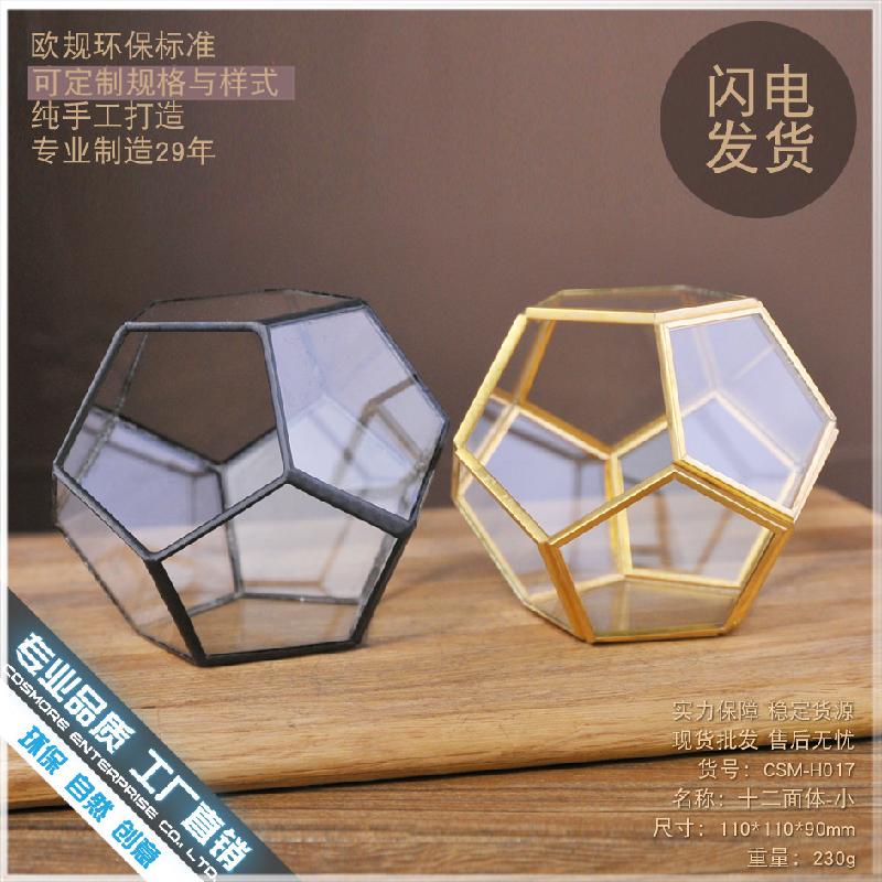 Chậu Đa Giác DG-257 Cảnh quan sinh thái nhỏ của hoa bền vững trong nhà thủy tinh cầu