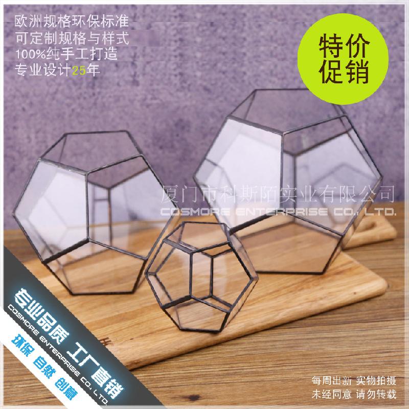 Chậu Đa Giác DG-257 Cảnh quan sinh thái nhỏ của hoa bền vững trong nhà thủy tinh cầu