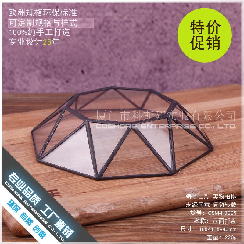 Chậu Đa Giác DG-230 Chậu hoa động vật nhiều thân, kính bát mặt, hoa thực vật bền đời, thảo mộc tím, cảnh quan nhỏ, thủy sinh trong chai