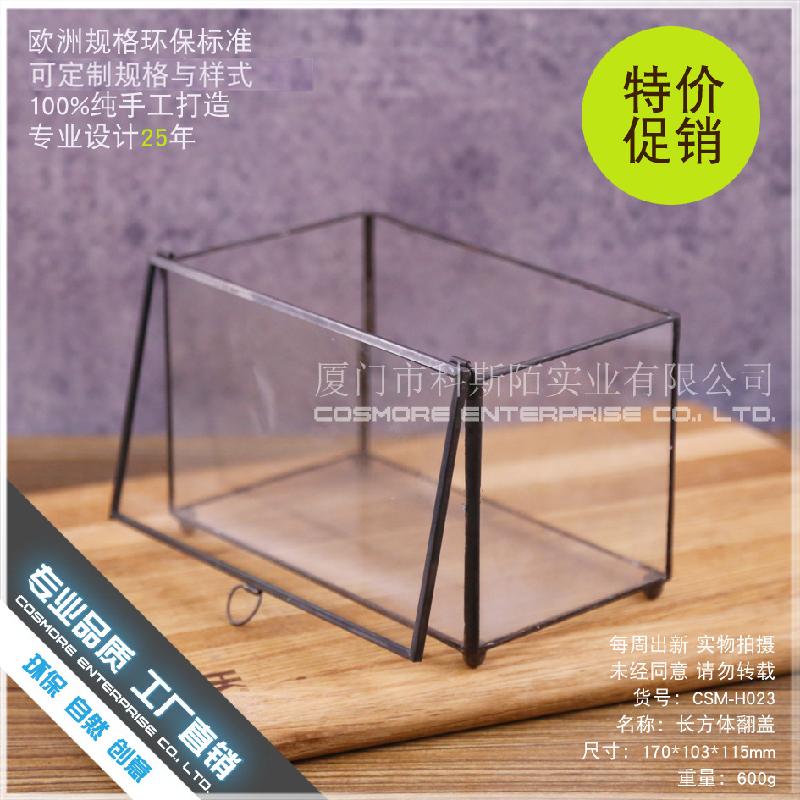 Chậu Đa Giác DG-15 Hộp sinh thái táo xiên, phòng kính không định hình, sáng tạo cảnh quan cây cỏ nhỏ