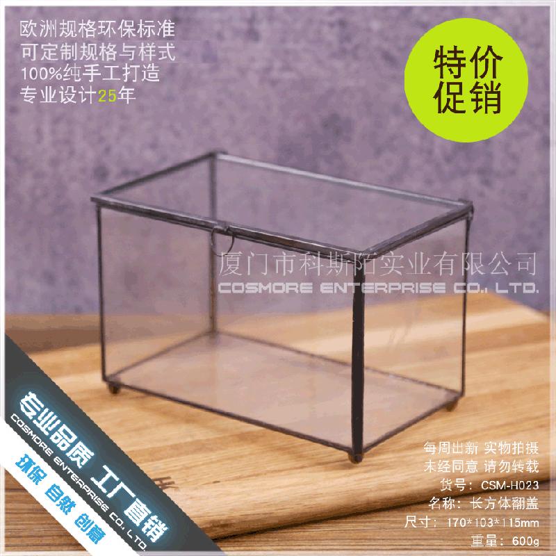 Chậu Đa Giác DG-15 Hộp sinh thái táo xiên, phòng kính không định hình, sáng tạo cảnh quan cây cỏ nhỏ