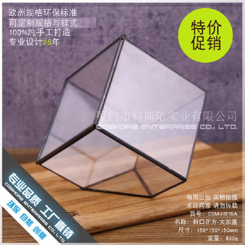 Chậu Đa Giác DG-64 Nhà kính thủy tinh lớn của nhà sản xuất, có thiết kế sáng tạo, hoa bền vững, thảo mộc, cảnh quan nhỏ và các chậu hoa đa thực vật