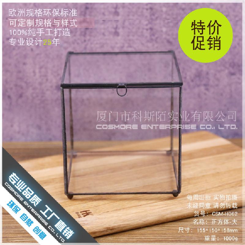 Chậu Đa Giác DG-12 Hộp quà thủy tinh với nhà hoa kính lớn và cây cỏ đông cứu