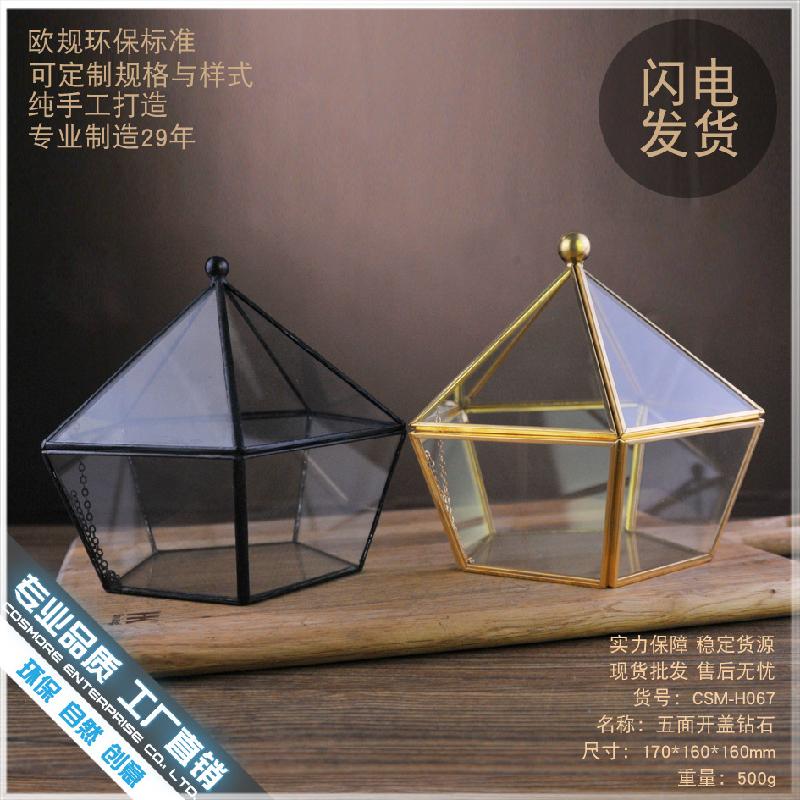 Chậu Đa Giác DG-41 Mặt nắp nổi bậc thứ năm, kim cương, cây thực vật đầy mồ hôi, cảnh quan nhỏ độc đáo, thủy tinh không định hình, hoa bền vĩnh cửu, hộp phòng thương mại