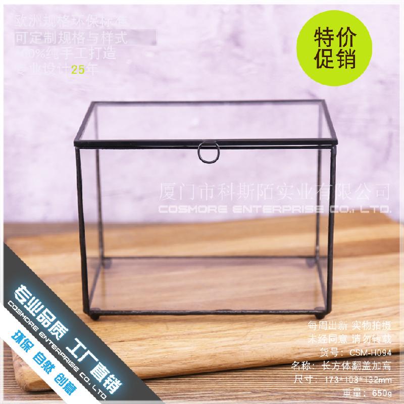 Chậu Đa Giác DG-52 Hộp kính hình hộp chữ nhật có kính cao với phong cảnh nhỏ của hoa bền vững và thảo mộc