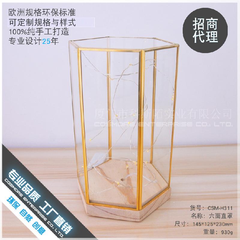 Chậu Đa Giác DG-156 Bộ đệm gỗ sáu mặt với ánh sáng LED, với vỏ kính thủy tinh mới sáng tạo