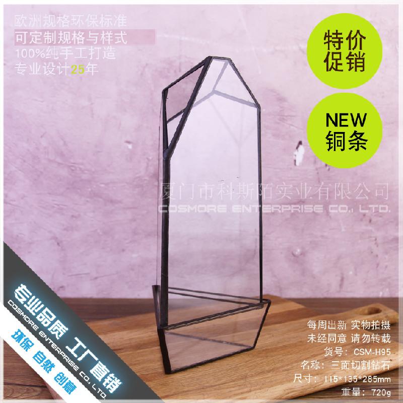 Chậu Đa Giác DG-160 Chai thủy tinh không định hình, cây thực vật kính, bình hoa tạo cảnh nhỏ, diy tạo cảnh bình