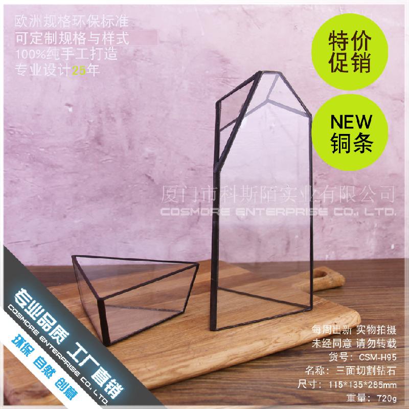 Chậu Đa Giác DG-160 Chai thủy tinh không định hình, cây thực vật kính, bình hoa tạo cảnh nhỏ, diy tạo cảnh bình