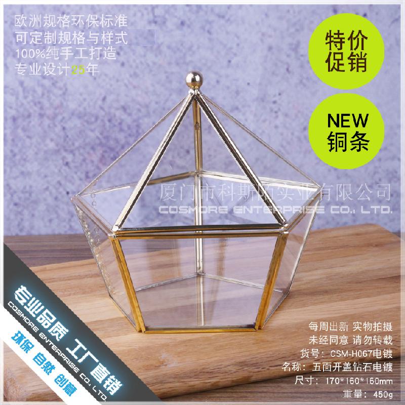 Chậu Đa Giác 永生花花盒首饰项链收纳盒防尘罩玻璃花房情人节礼物器皿五面开盖