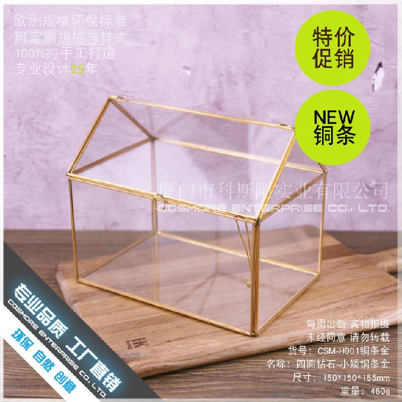 Chậu Đa Giác DG-28 Hộp quà hoa bền đời với khung đồng Bắc Âu, kính hình học và cảnh quan nhỏ trong thủy tinh