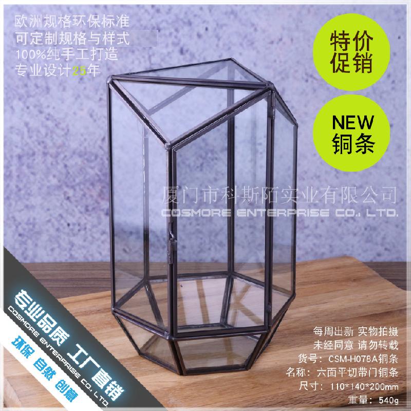 Chậu Đa Giác DG-215 Thiên nhiên hộp quà, bộ trang trí nhà cửa nhỏ