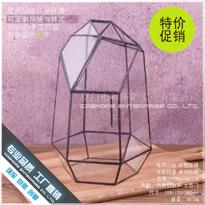 Chậu Đa Giác DG-22 Cắt kính cửa béo lớn, phong cảnh nhỏ, hoa bền vững, thảo mộc, cảnh quan trong suốt, ý tưởng sáng tạo, hộp hoa đa thực vật sỉ