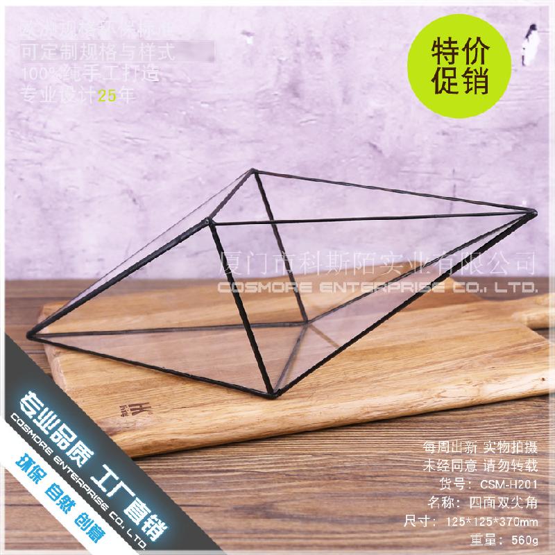 Chậu Đa Giác DG-183 Cảnh quan nhỏ với cây cỏ, của cỏ lá mọng xanh và thực vật nhỏ