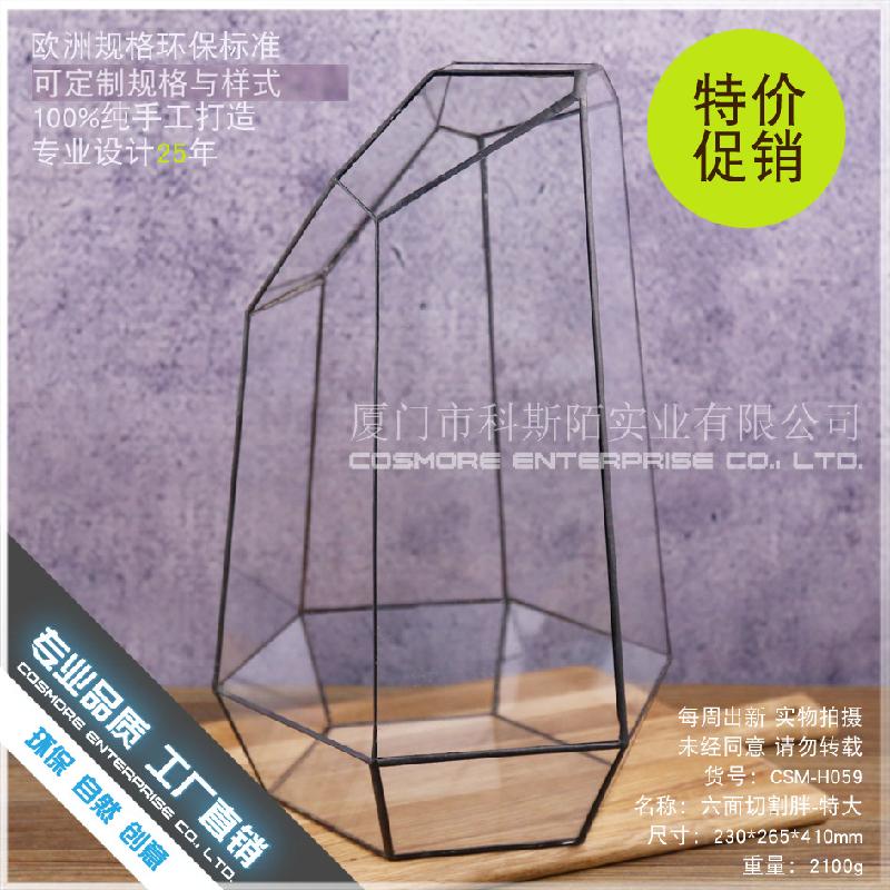 Chậu Đa Giác DG-43 Cắt bốn mặt to lớn, cây thực vật thịt nhiều, thảo mộc, cảnh quan nhỏ, kính vừa không đều, hoa bền vững nhỏ trong hộp