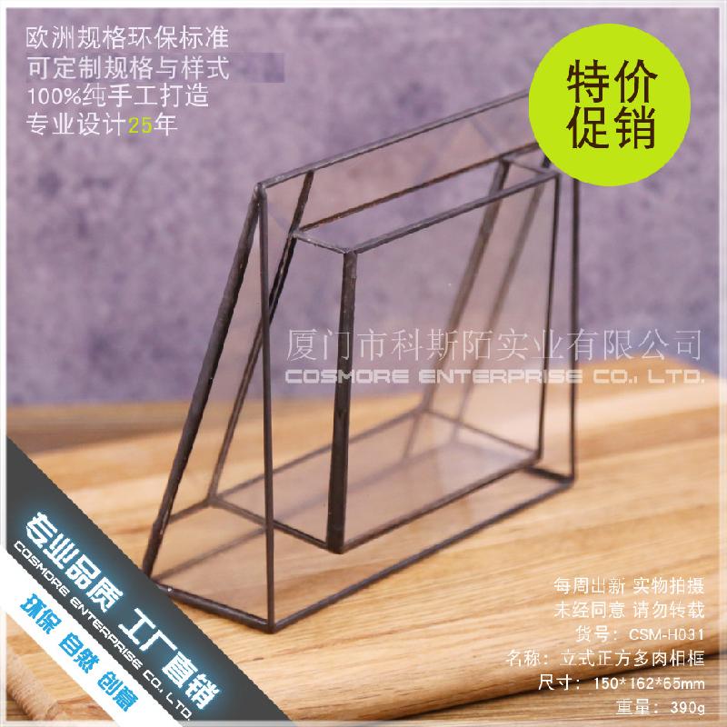 Chậu Đa Giác DG-42 Khung ảnh đa cây thực vật tảo, cảnh quan nhỏ bằng kính không đều, hoa bền vững trong hộp