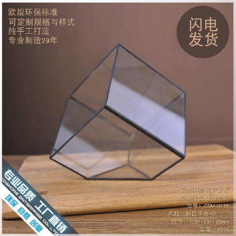 Chậu Đa Giác DG-92 Nhà hoa thủy tinh trong nhà máy, sáng tạo vĩnh cửu