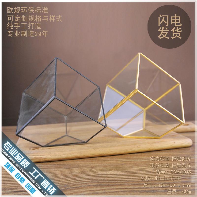 Chậu Đa Giác DG-92 Nhà hoa thủy tinh trong nhà máy, sáng tạo vĩnh cửu