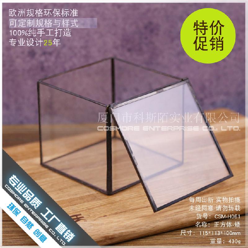 Chậu Đa Giác DG-21 Hộp nhỏ cảnh quan của thực vật mọc mịn