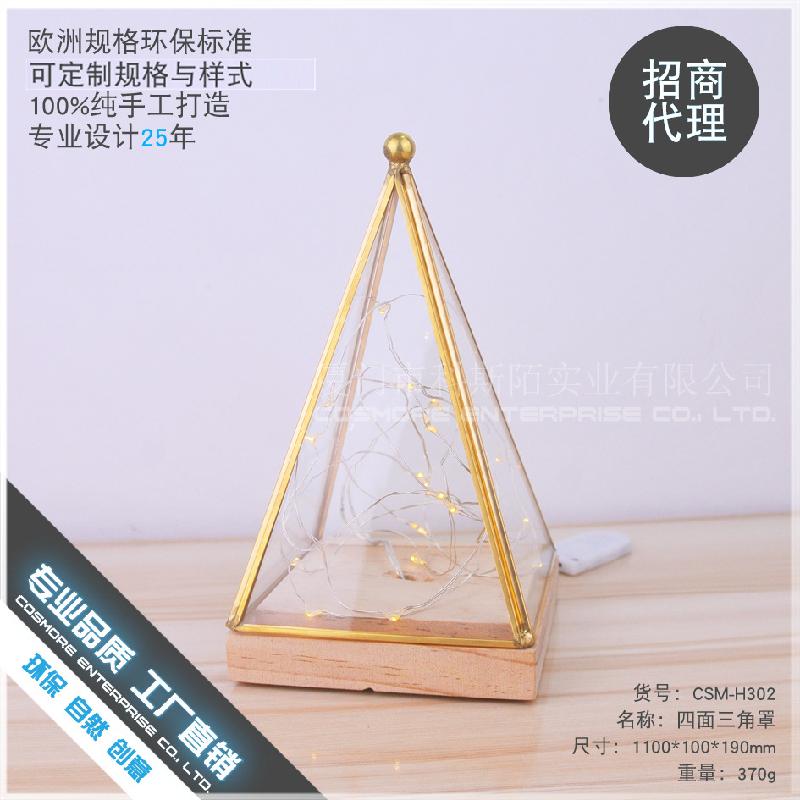 Chậu Đa Giác DG-152 Cây lửa, hoa bạc, cây gỗ, đế đèn kính LED