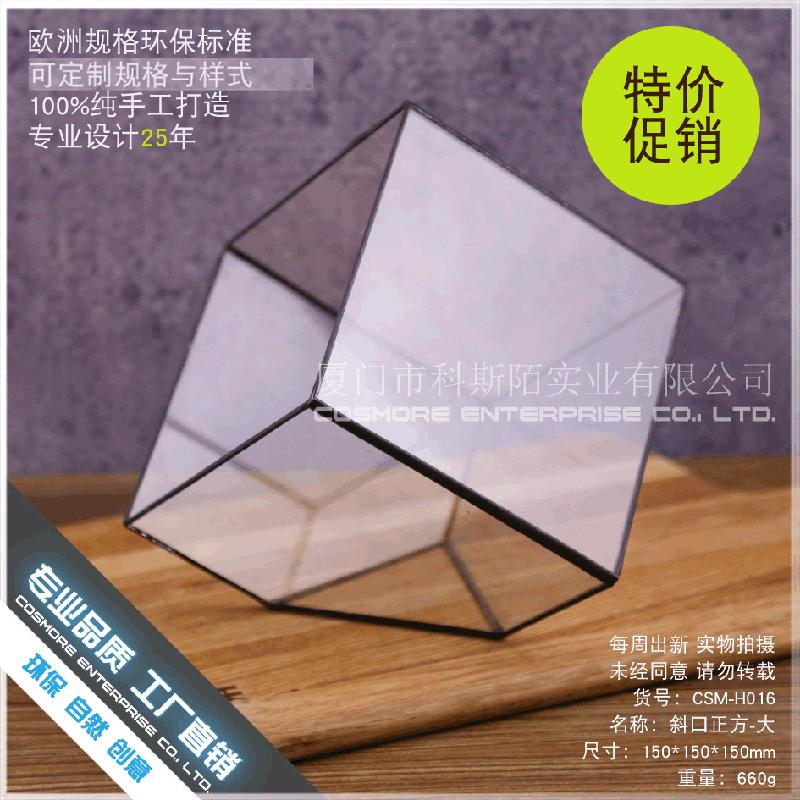 Chậu Đa Giác DG-91 Nhà máy Xiamen bán trực tiếp phòng kính chữ nhật lớn, thiết kế sáng tạo, hoa tái sinh vĩnh cửu, thảm thực vật nhỏ, cảnh quan đa thực vật và chén hoa đa thực vật