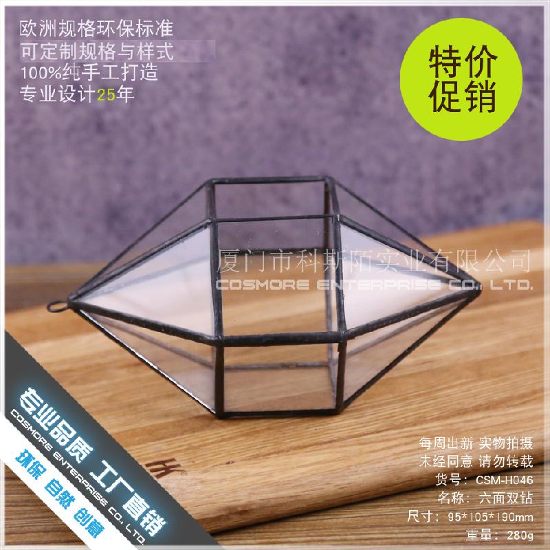 Chậu Đa Giác DG-240 Cặp đôi kim cương sáu mặt, cây thực vật nhiều thịt, cảnh quan nhỏ từ thảo mộc, không định hình, hộp hoa bền vững kính lớn