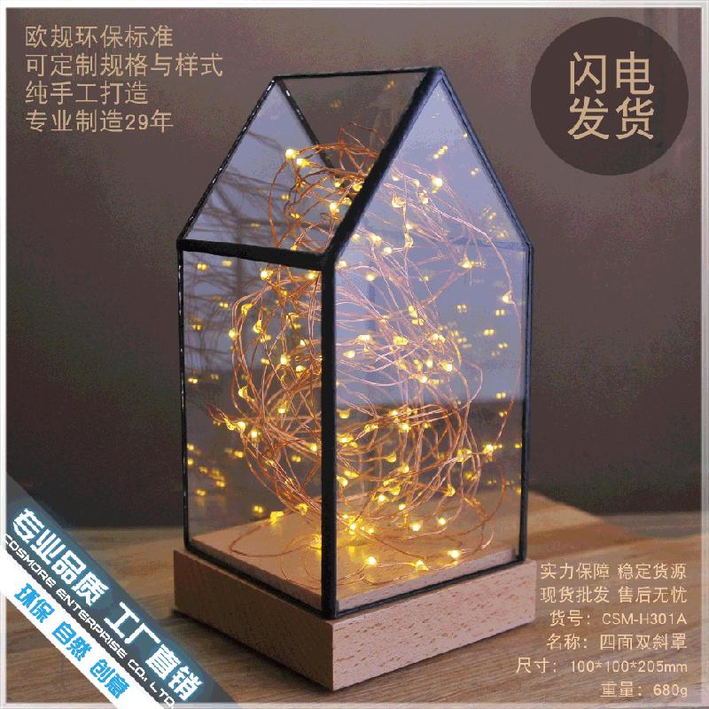 Chậu Đa Giác DG-26 Cờ bạc cây lửa, hoa bạc, gỗ thực, kính cửa đèn LED trang trí bàn đèn lãng mạn sáng tạo quà sinh nhật