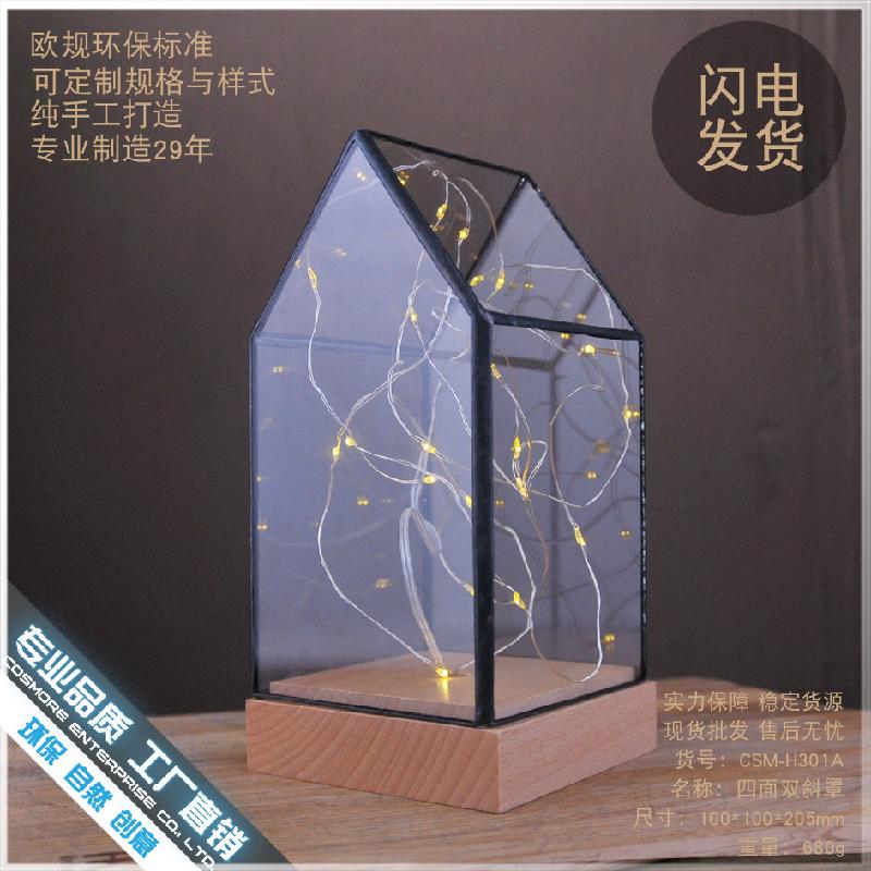 Chậu Đa Giác DG-26 Cờ bạc cây lửa, hoa bạc, gỗ thực, kính cửa đèn LED trang trí bàn đèn lãng mạn sáng tạo quà sinh nhật