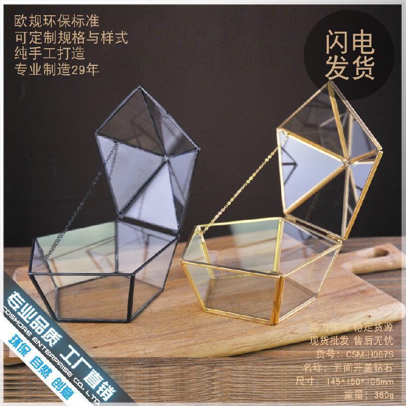 Chậu Đa Giác DG-207 Hộp hoa bền đời có 5 mặt mở, có ánh sáng, bao bọc kính