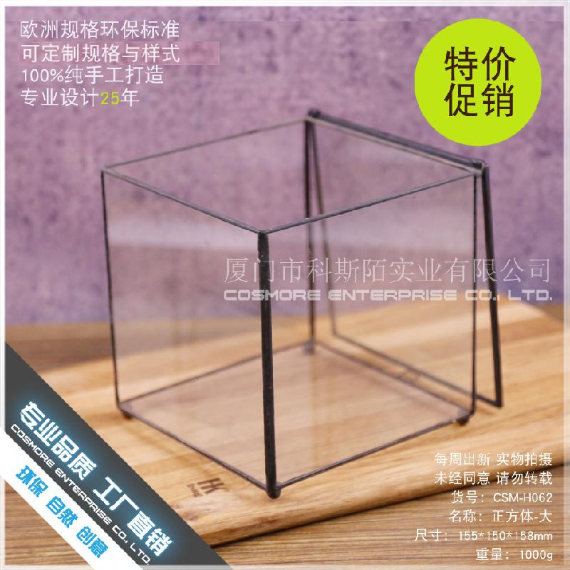 Chậu Đa Giác DG-12 Hộp quà thủy tinh với nhà hoa kính lớn và cây cỏ đông cứu