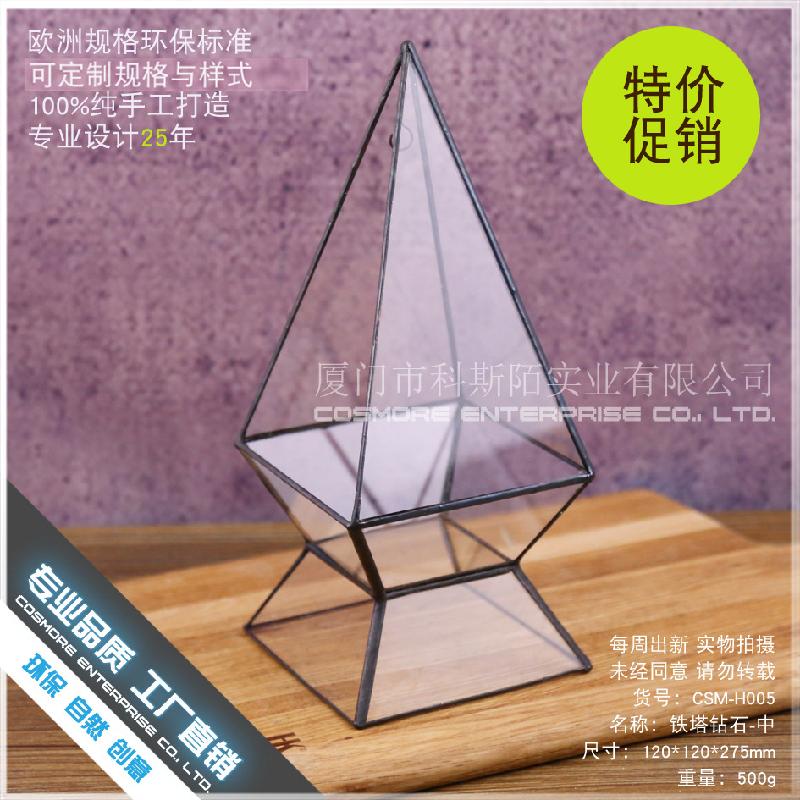 Chậu Đa Giác DG-232 Một không gian nhỏ độc đáo với cây thực vật tảo xanh