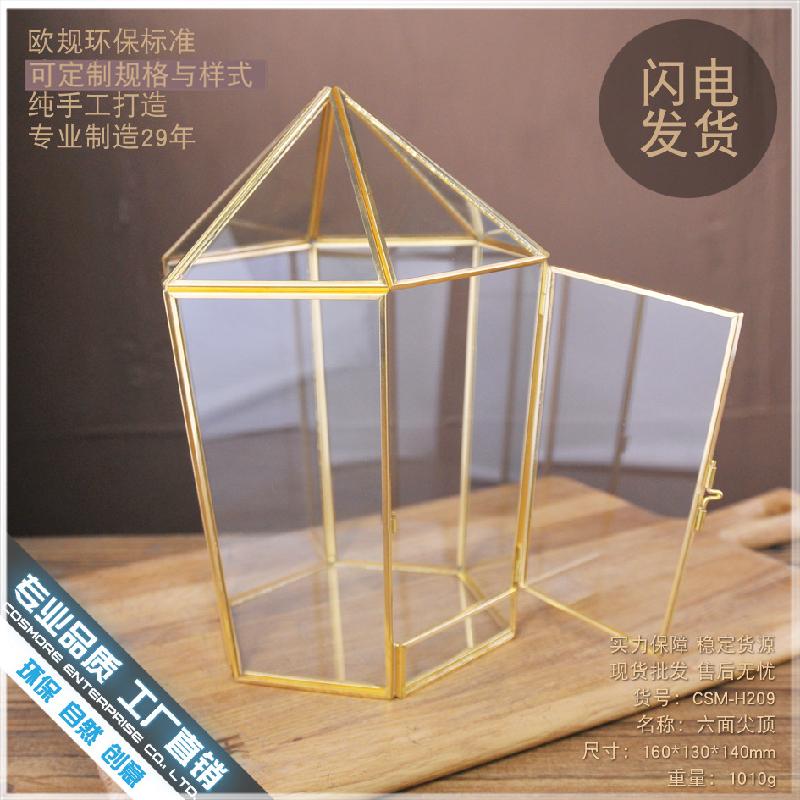 Chậu Đa Giác DG-134 Chứa hình học kính bảy mặt, nhà hoa kính năm mặt, hộp bạc đồng hồ vĩnh cửu