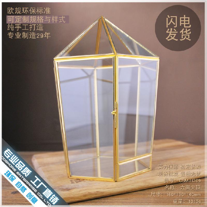 Chậu Đa Giác DG-134 Chứa hình học kính bảy mặt, nhà hoa kính năm mặt, hộp bạc đồng hồ vĩnh cửu