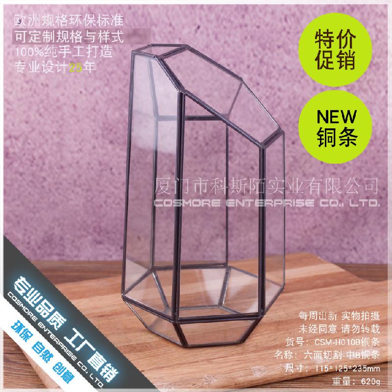 Chậu Đa Giác DG-224 Cắt bằng 6 mặt thanh đồng, phòng hoa kính B, hoa thịnh vượng, thảo mộc, cảnh quan nhỏ, trong suốt, sáng tạo, hộp cây đa thực vật bán sỉ